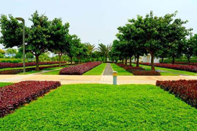 綠滿邕城 南寧園林綠化、庭院美化與專業(yè)工程服務(wù)的全方位解析